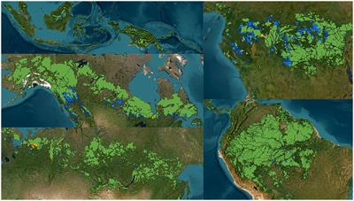 Feasibility and effectiveness of global intact forest landscape protection through forest certification: the conservation burden of intact forest landscapes
